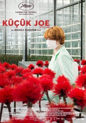Küçük Joe - Little Joe