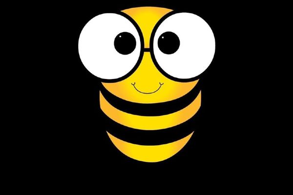 Instagram ve Twitterı birleştiren uygulama...