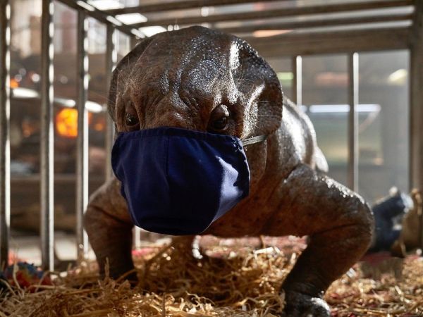 Jurassic World: Dominion ekibi corona virüse yakalandı