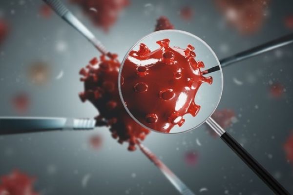 Karadenizde mutasyonlu virüs araştırılacak