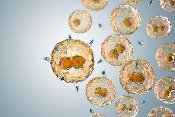 Yaşayan robotlar mikroplastik kirliliği ile savaşacak