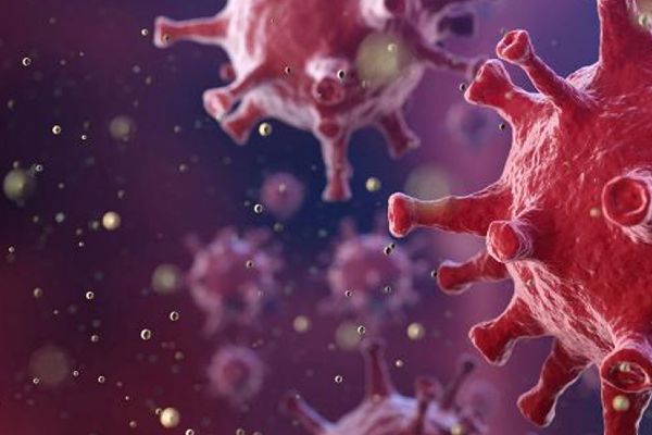 Virüsün bulaşıcılığının artması daha ölümcül olduğu anlamına gelmiyor