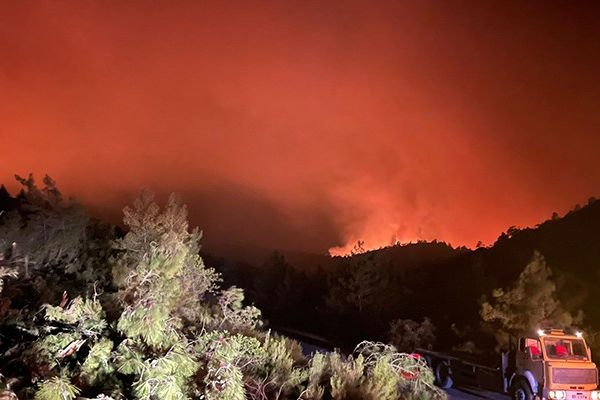 Marmariste orman yangını çıkaran kişi tutuklandı