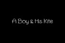 A Boy & His Kite - Cover Your Tracks (Lyrics)