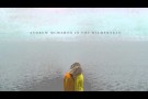 Andrew McMahon in the Wilderness - Driving Through a Dream [AUDIO]