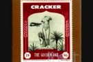 Cracker-Sweet thistle pie