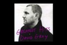 David Gray - "Destroyer"