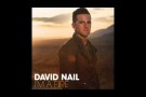 David Nail - I'm A Fire (song)