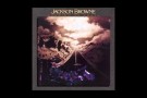 Jackson Browne - You Love The Thunder