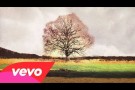 Jamie Scott - My Hurricane (Lyric Video)