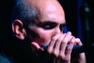 PAUL KELLY - They Thought I Was Asleep (Live)