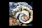 Moody Blues - Melancholy Man (vinyl)