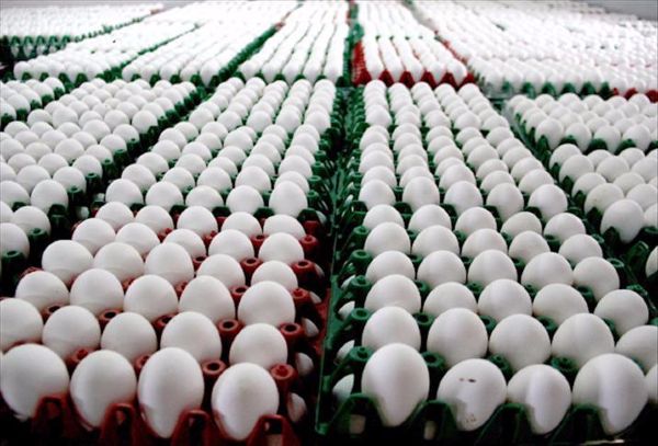 Avrupadaki ilaçlı yumurta krizi büyüyor