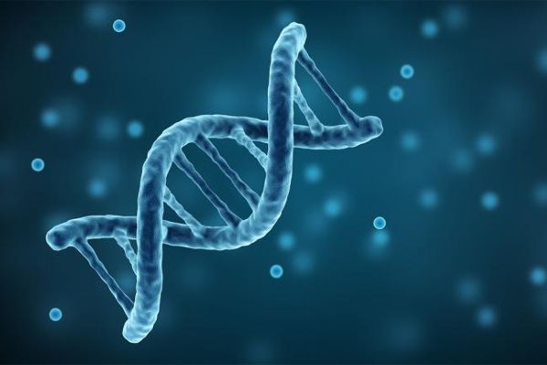 ODTÜlü bilim insanları insan DNAsını notalara döktü