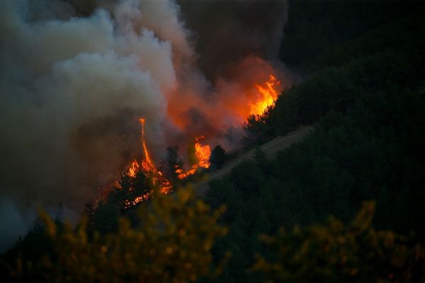 İzmirde yanan alan 500 değil 5 bin hektar