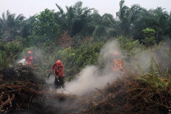 Endonezyada hava kirliliği tehlikeli seviyede