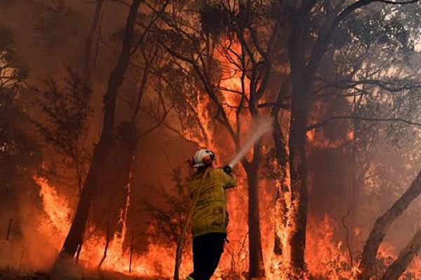Avustralya yangınları yeni normal olabilir