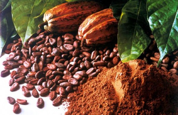 Kakao beyni hızlandırıyor