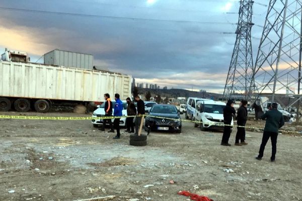 Ankarada 20 ölü köpek bulundu