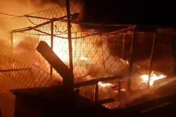 Ankara’da hayvan barınağında korkutan yangın