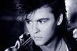 Paul Young 1003
