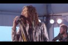 Steven Tyler - I dont want to miss a thing (Acoustic)